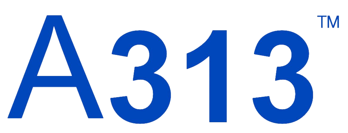A313